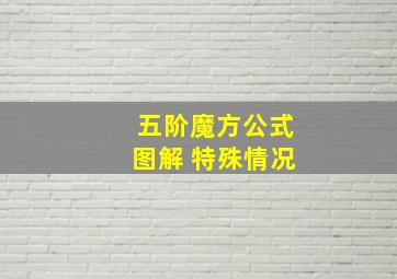 五阶魔方公式图解 特殊情况